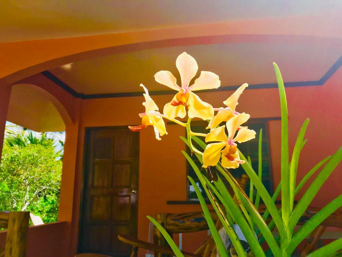 Отель Chekesh Casa Сикихор Экстерьер фото